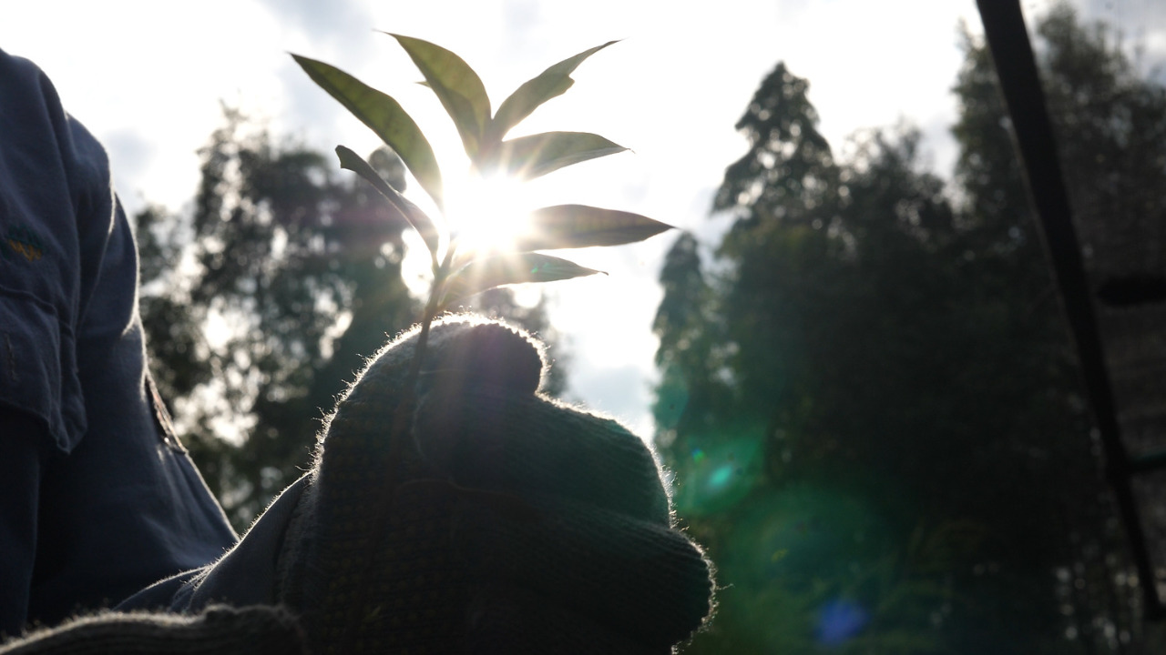 Grup MIND ID Catat Realisasi Reklamasi 931,25 Hektar pada 2021