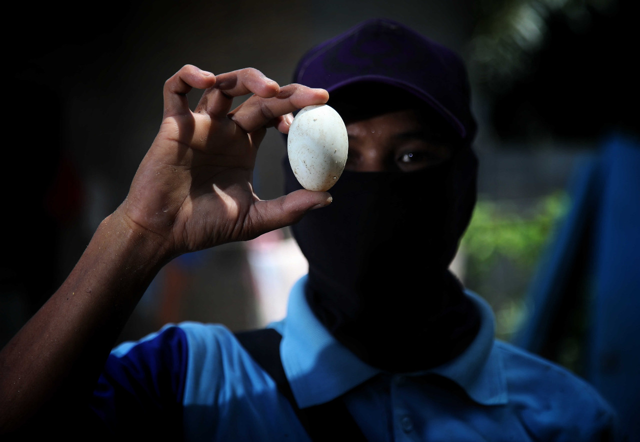 Olahan Limbah Organik Solusi Tingkatkan Bisnis Kecil Kala Pandemi