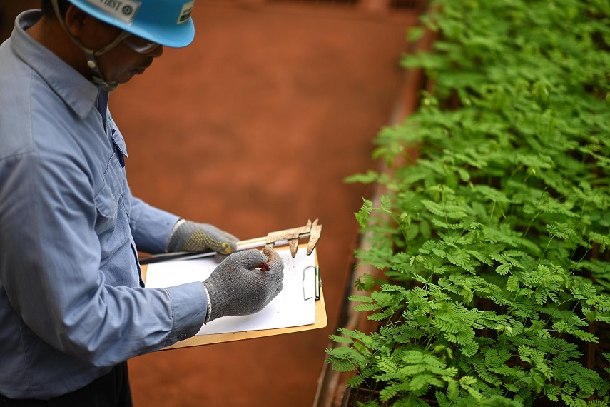 Grup MIND ID Tempatkan Total Rp534,4 Miliar Jaminan Reklamasi Tahun 2021