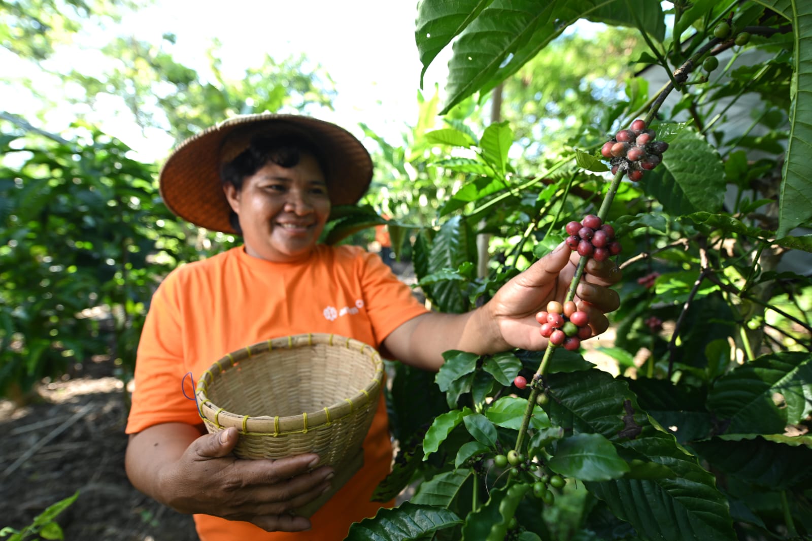MIND ID Dukung dan Lestarikan Produk Kopi Dalam Negeri