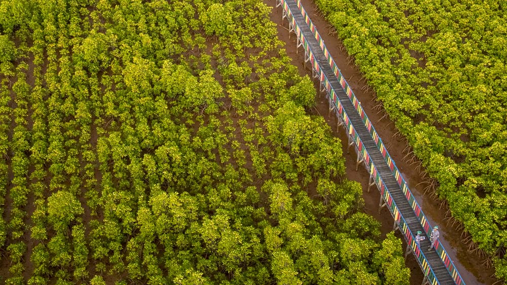 MIND ID dan ANTAM Sampaikan Komitmen Reklamasi dan Tambang Berkelanjutan dalam INDOGREEN Expo 2023