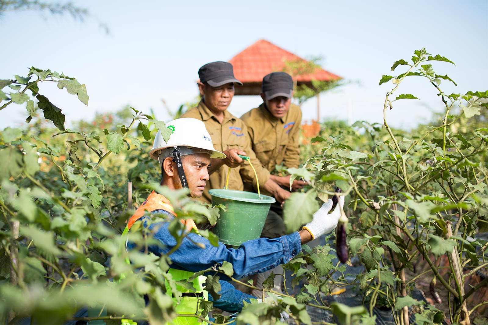 Peringati Hari Lingkungan Hidup Sedunia, Ini Deretan Program Berkelanjutan yang Dilakukan MIND ID
