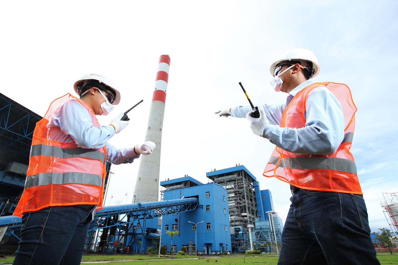 Anggota MIND ID PT Bukit Asam Tbk Jadwalkan Pembagian Dividen Rp12,6 T, Cek Tanggalnya