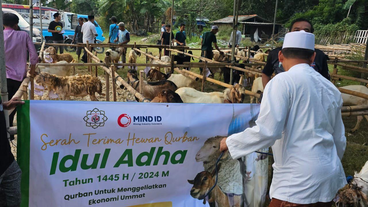 Berbagi Hari Raya Idul Adha, MIND ID Salurkan 864 Hewan Kurban