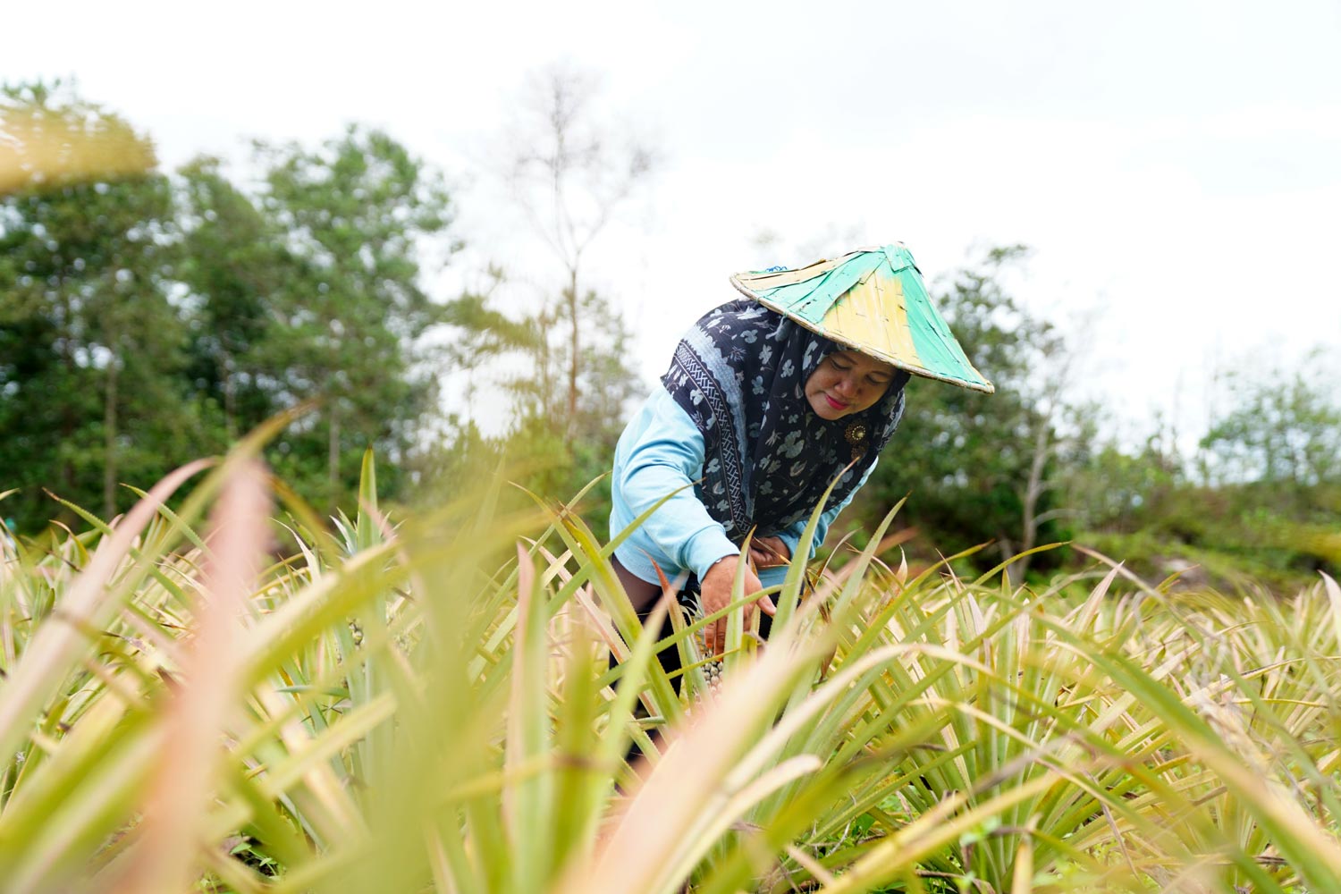 Local Hero MIND ID, Berdaya Demi Keluarga